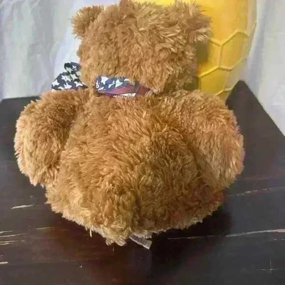 TY Large Size Brown Bear.
American Flag Ribbon.
14” Bear.
GUC - Picture 7 of 7
